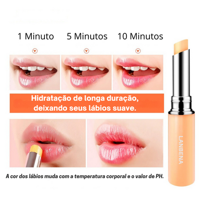 Lip Balm Protetor Labial enriquecido com Ácido Hialurônico - Hidratação e Nutrição